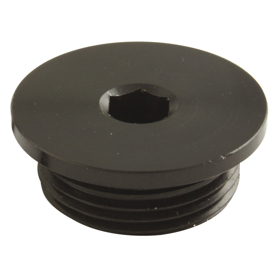 Freeze Plug - Threaded (1)